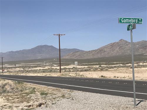 Shooter Site_thumb_thumb.jpg